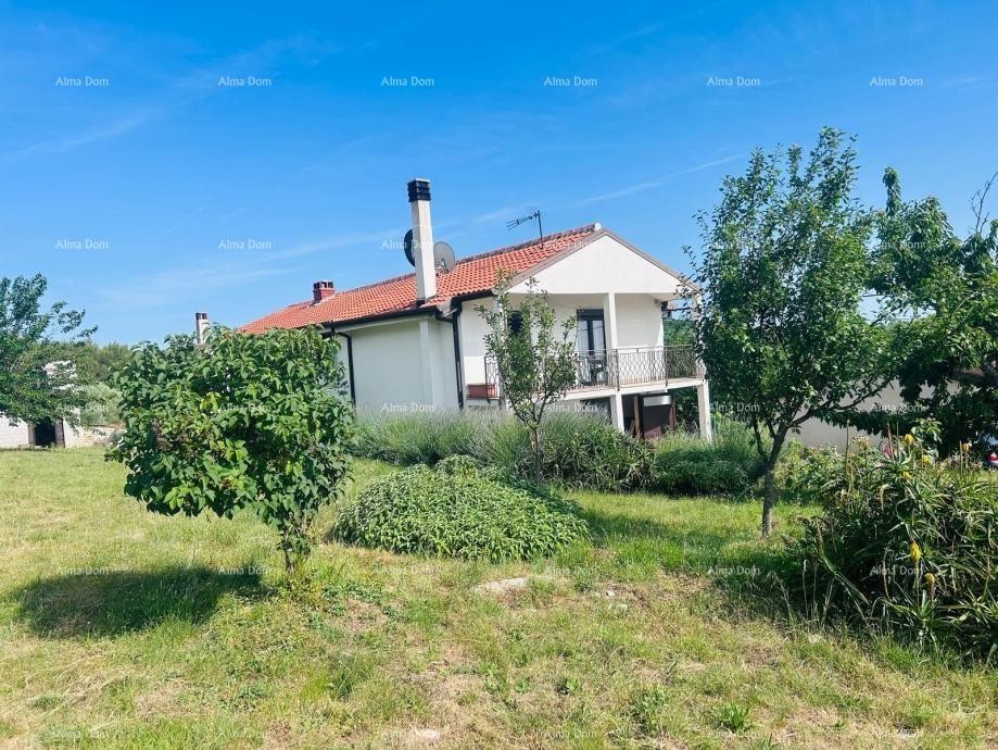 Buje – Samostojeća kuća s maslinikom i građevinskim zemljištem 3