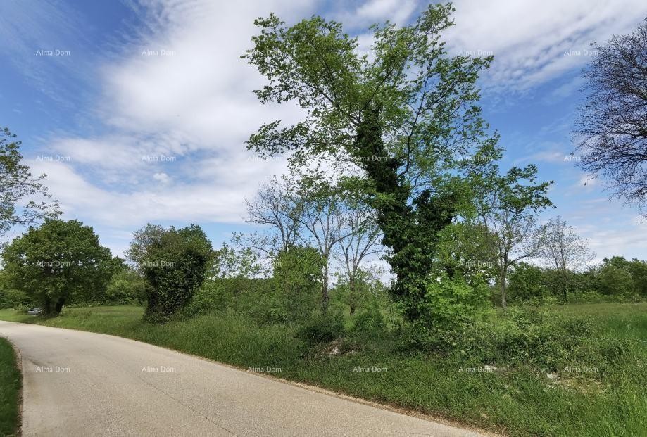 Продается земельный участок, Вишнян. Идеально для строительства 20 домов для отдыха. 13