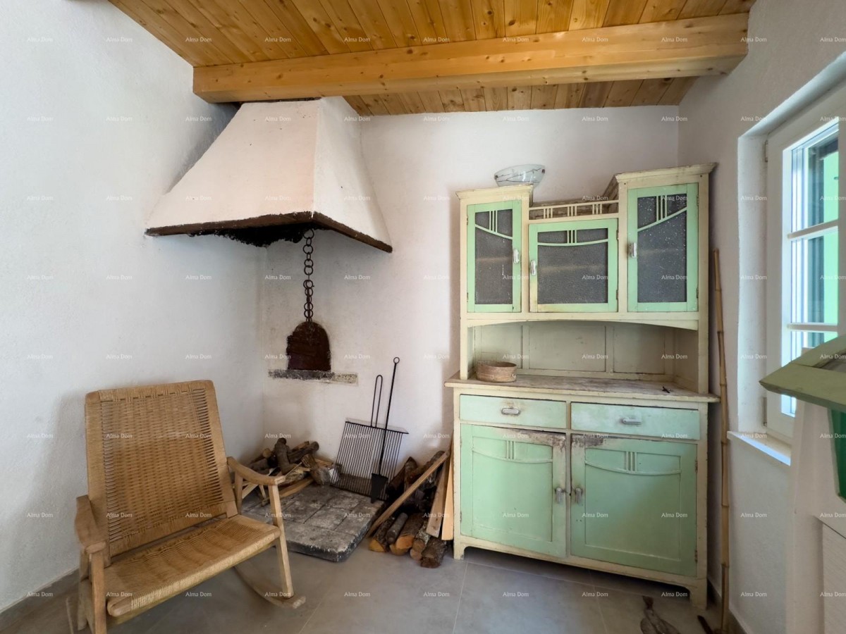 Редкость на рынке!   Istra  Barban 46