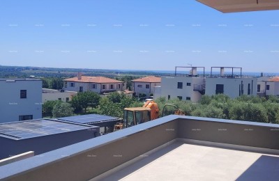 Vila s pogledom na morje, Tar! Poreč.
