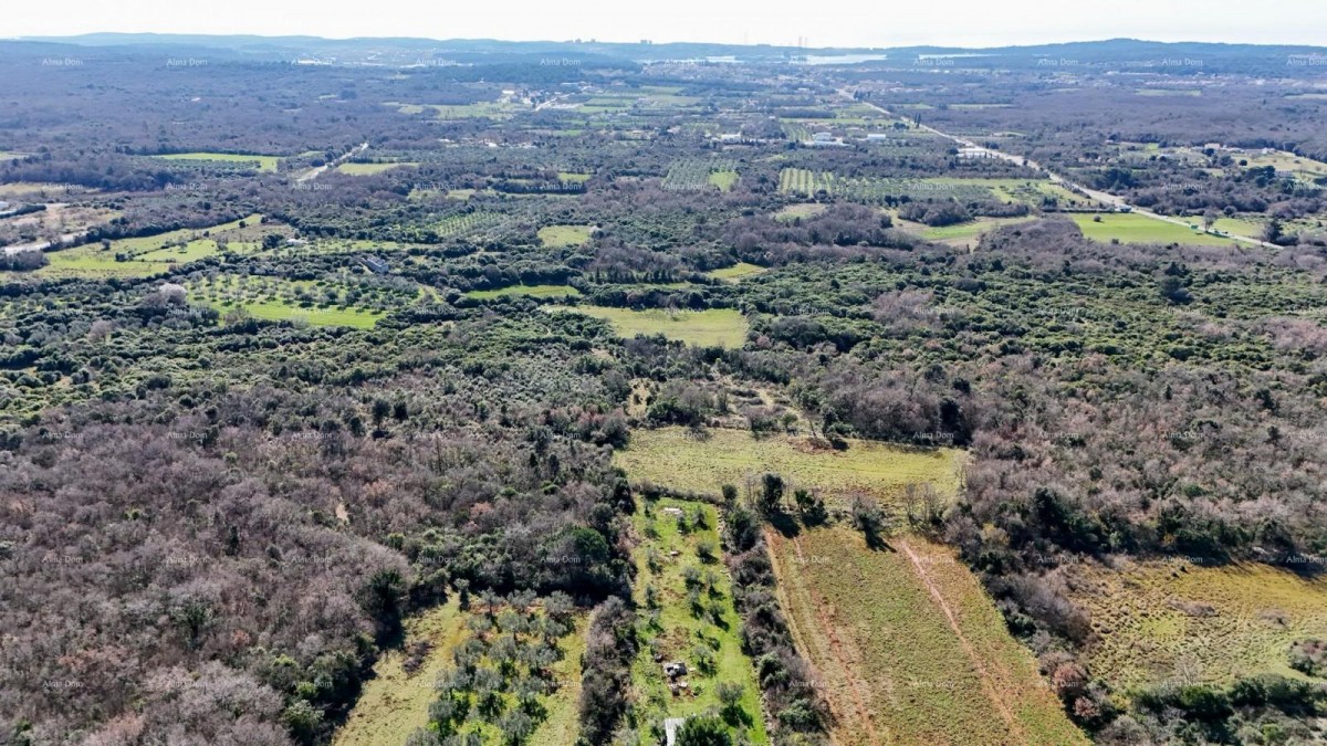 Галижана — Продается большой сельскохозяйственный участок площадью 20 498 м², отличное местоположение 4