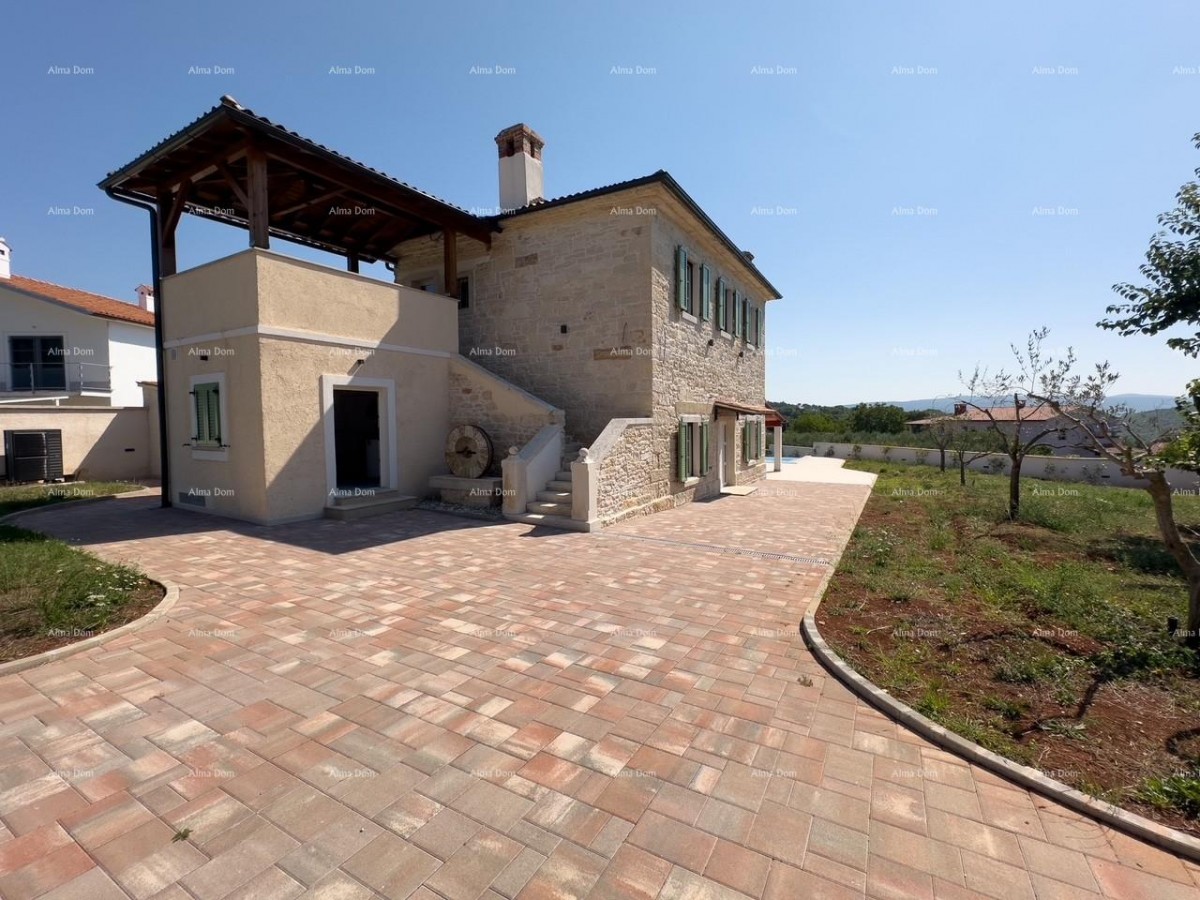 Редкость на рынке!   Istra  Barban 3