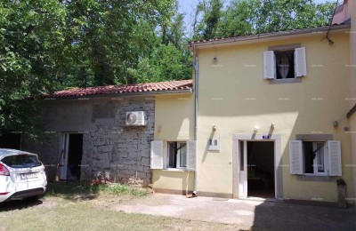 A house with a yard and a large plot of land for sale, Barban