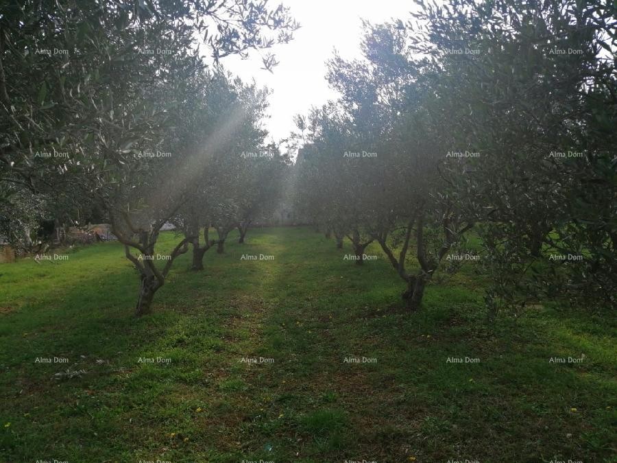 Građevinski teren sa 3 manja legalizirana objekta. Vareški. 15