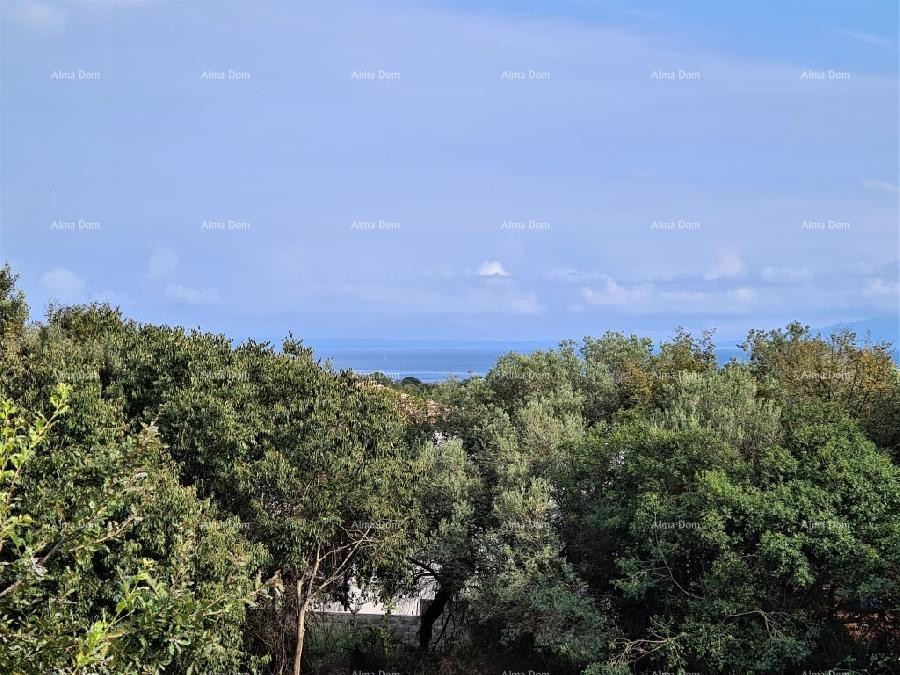 Лижнян продается один большой и один маленький дом. 23