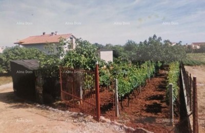 Prodaje se samostojeća kuća u Valbandonu .