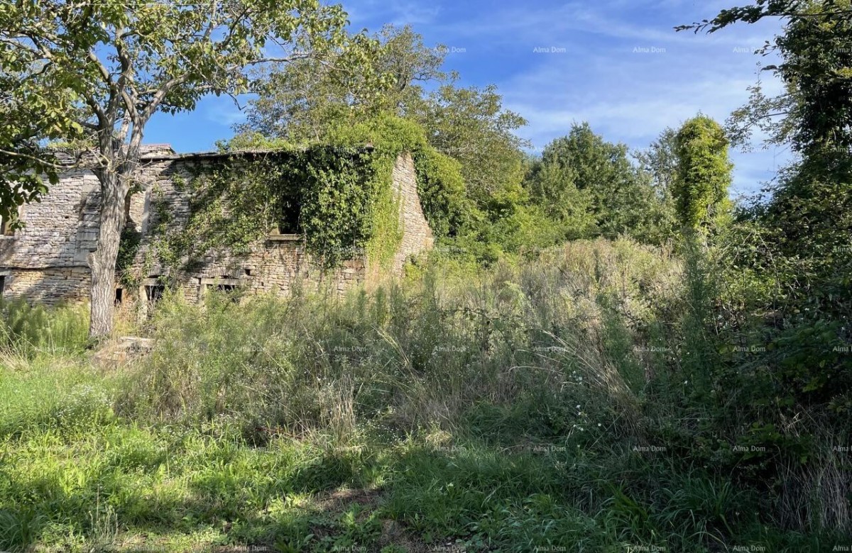 Продажа - каменный дом для ремонта с большим участком земли, Опрталь! 3