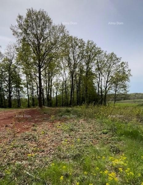 In vendita terreno edificabile con progetto – Barban (1.010 m²) 3