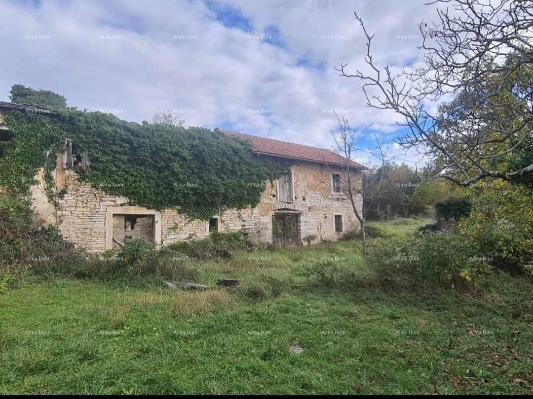 Casa in pietra d'Istria in vendita, Oprtalj 7