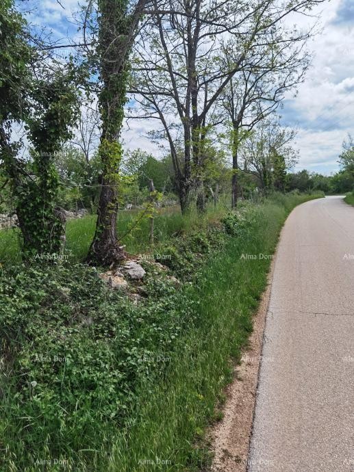 Odlično zazidljivo zemljišče za investicijo. 8