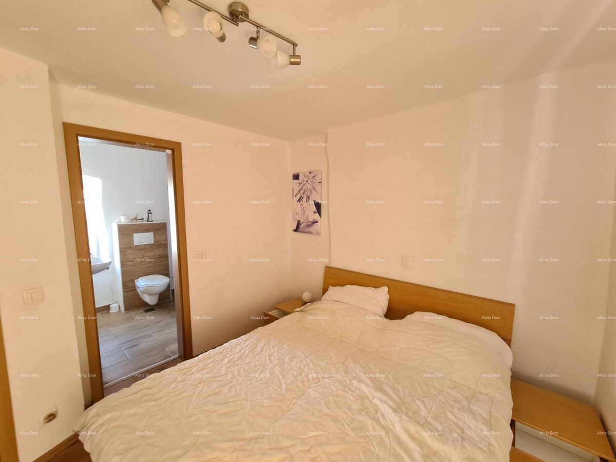 Ližnjan,istarska renovirana kuća! 47