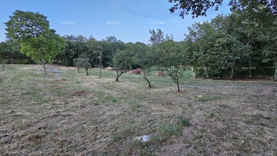 Građevinsko zemljišče v Tinjanu (Istra), 3.623 m² 5