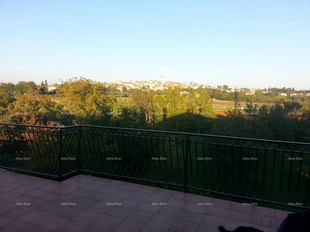 Casa con tre appartamenti e ampio terreno circondata da vigneti e uliveti 4