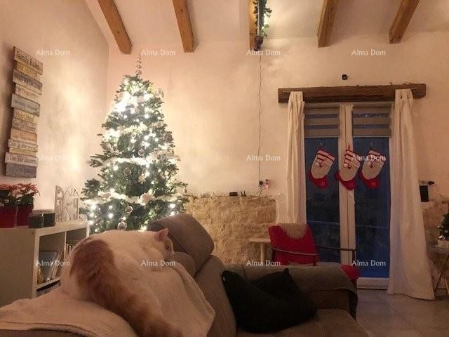 Каменная вилла с дополнительной квартирой и винным погребом, Святой Ловреч 1