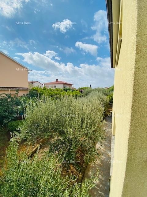 Просторный дом в Пуле с большим двором и множеством возможностей 21