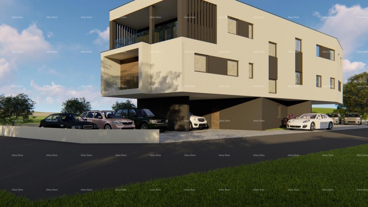 The translation of the title 12