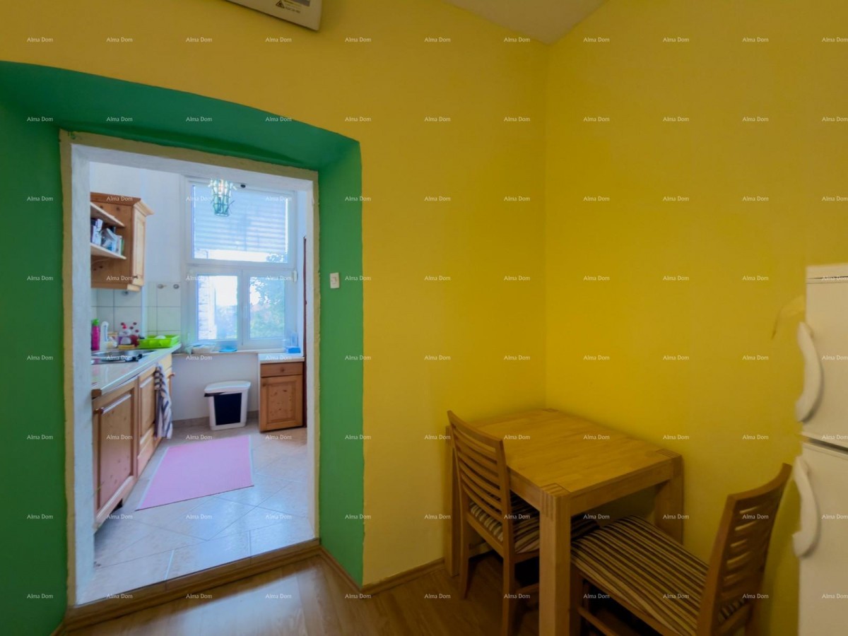 One bedroom apartment in Pula for sale 5