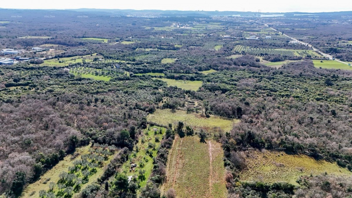 Галижана — Продается большой сельскохозяйственный участок площадью 20 498 м², отличное местоположение 5