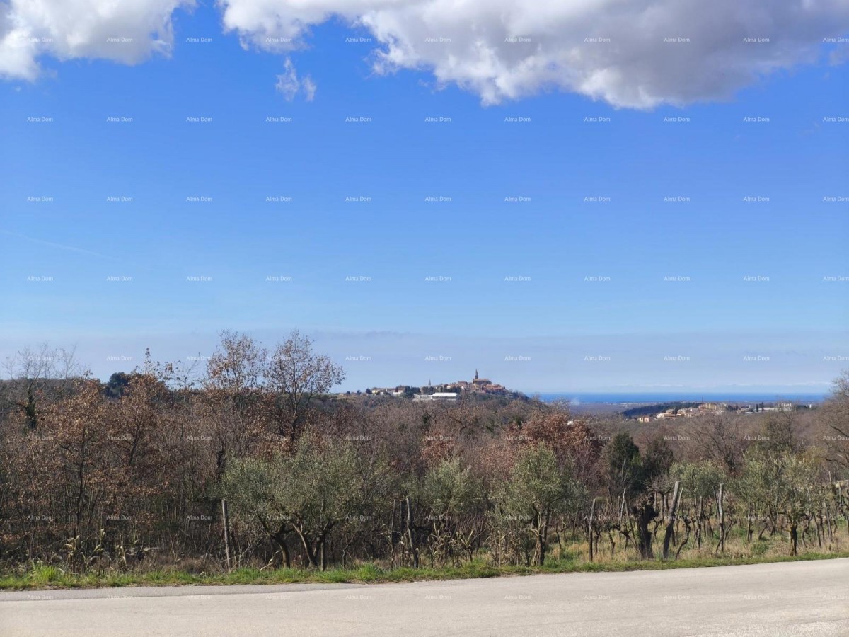 Buje – terreno edificabile di 1.086 m² con vista mare 3
