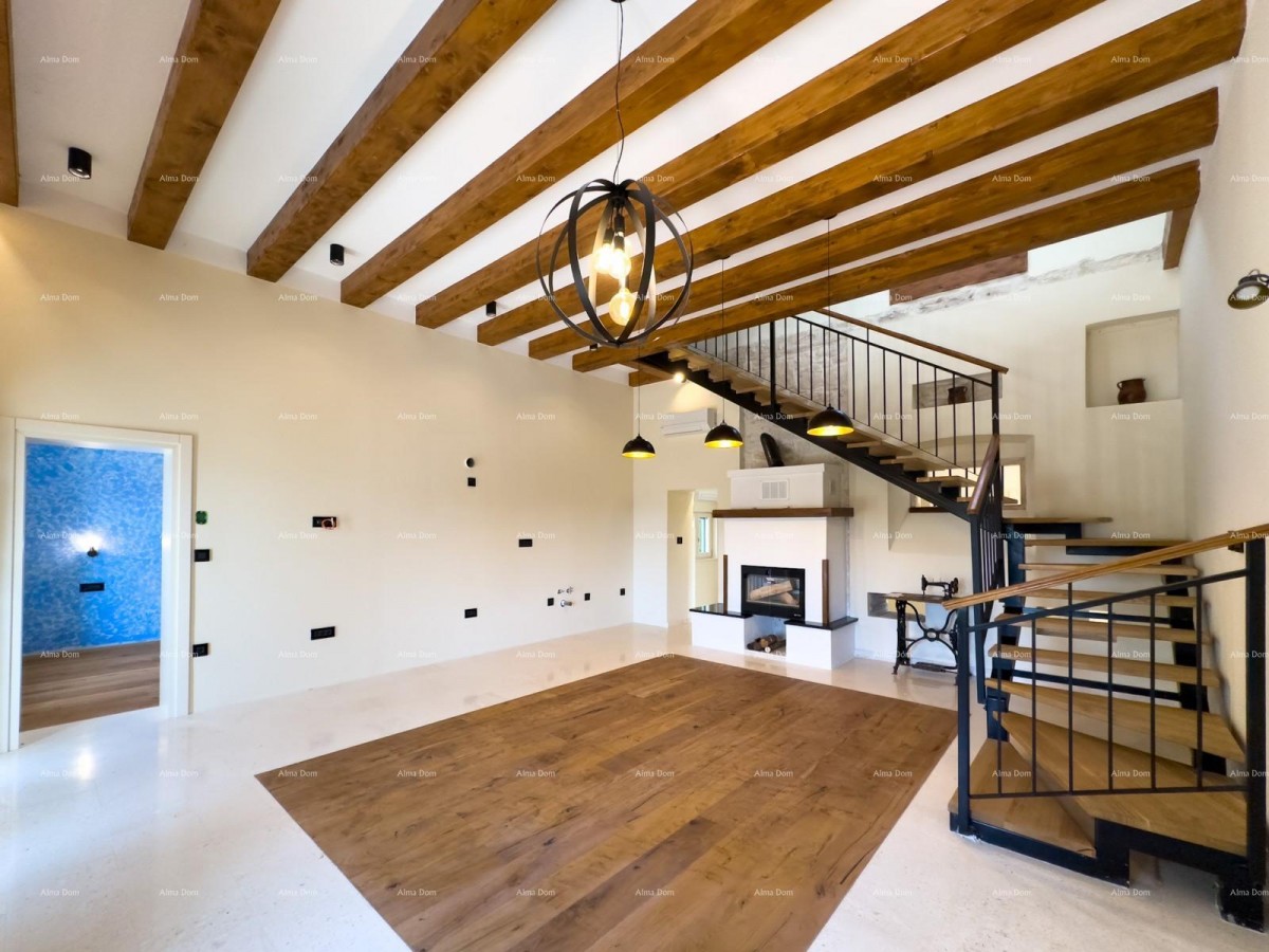 Редкость на рынке!   Istra  Barban 6