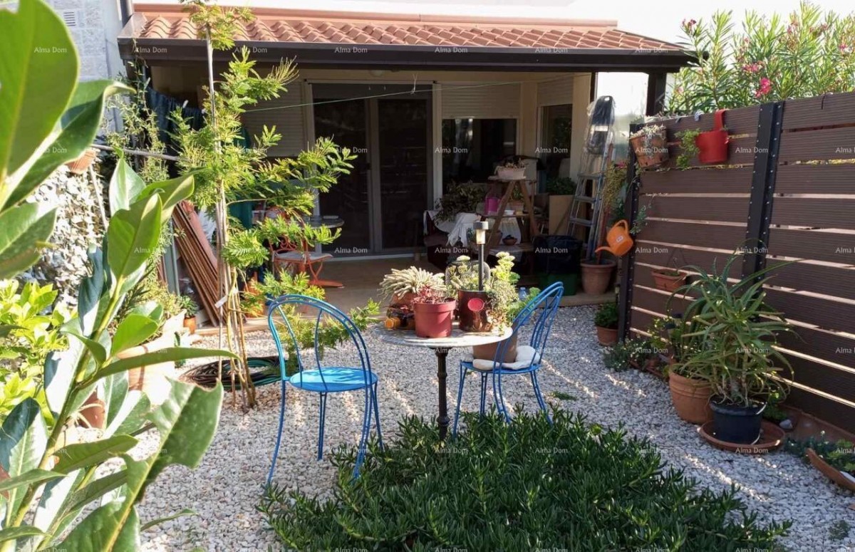 Stan al piano terra con grande giardino – Tar 5