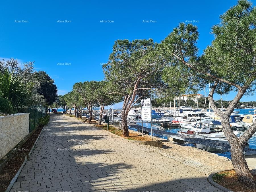 Prvi red do mora i plaže – kuća s bazenom i velikom okućnicom, Pješčana Uvala! 4