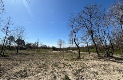 PAZIN (Istria) - building plot 1543 m2, in a green zone