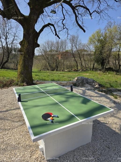 Sveti Lovreč, splendida villa in pietra con ampio giardino 16