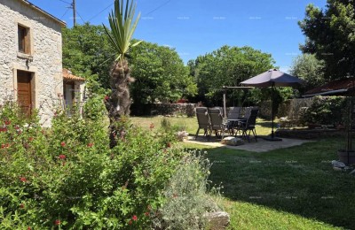 KRNICA, Istriana casa in pietra di 170 m² con 2 appartamenti, appartamento e grande cortile
