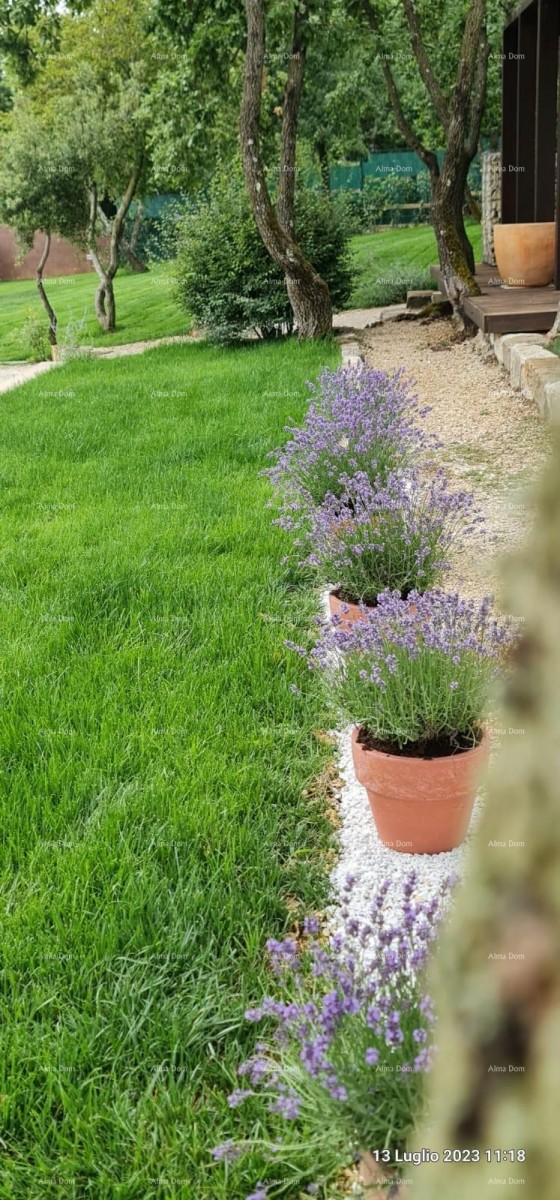 Prodaja - novoizgrajena vila - Barban! 11