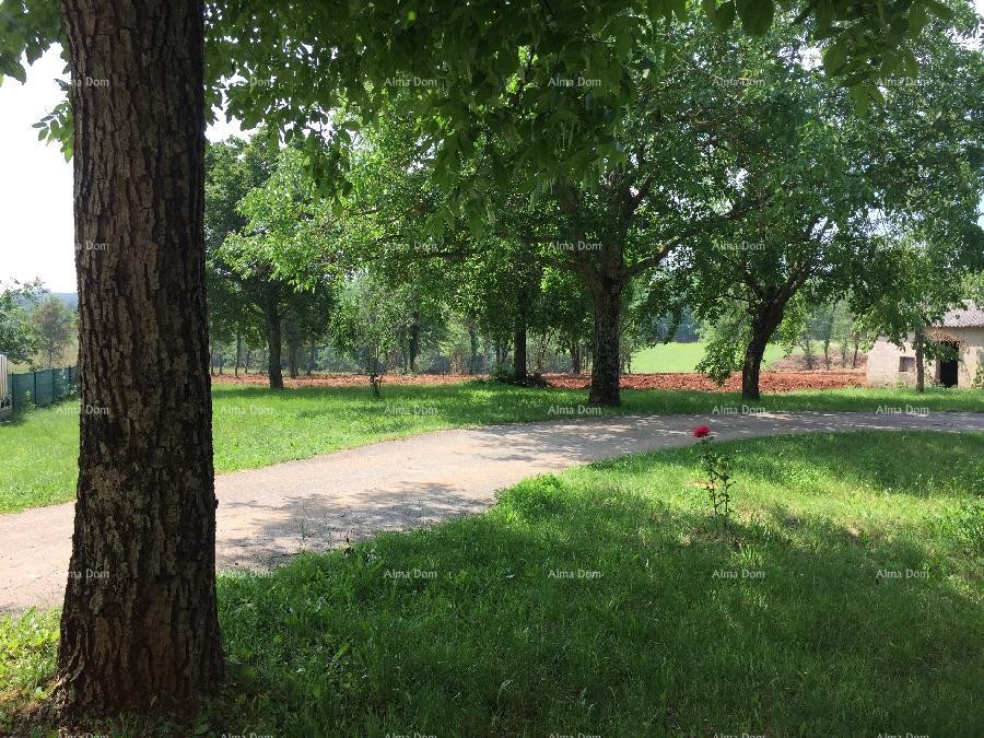 Near Porec! Building land with agricultural 39,000 M2! 1