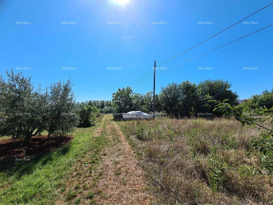 PULA - Construction Land in Busoler 7