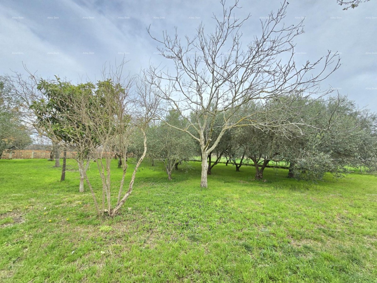 Casa spaziosa vicino a Pola! Due appartamenti - 2500 m² di terreno! 14