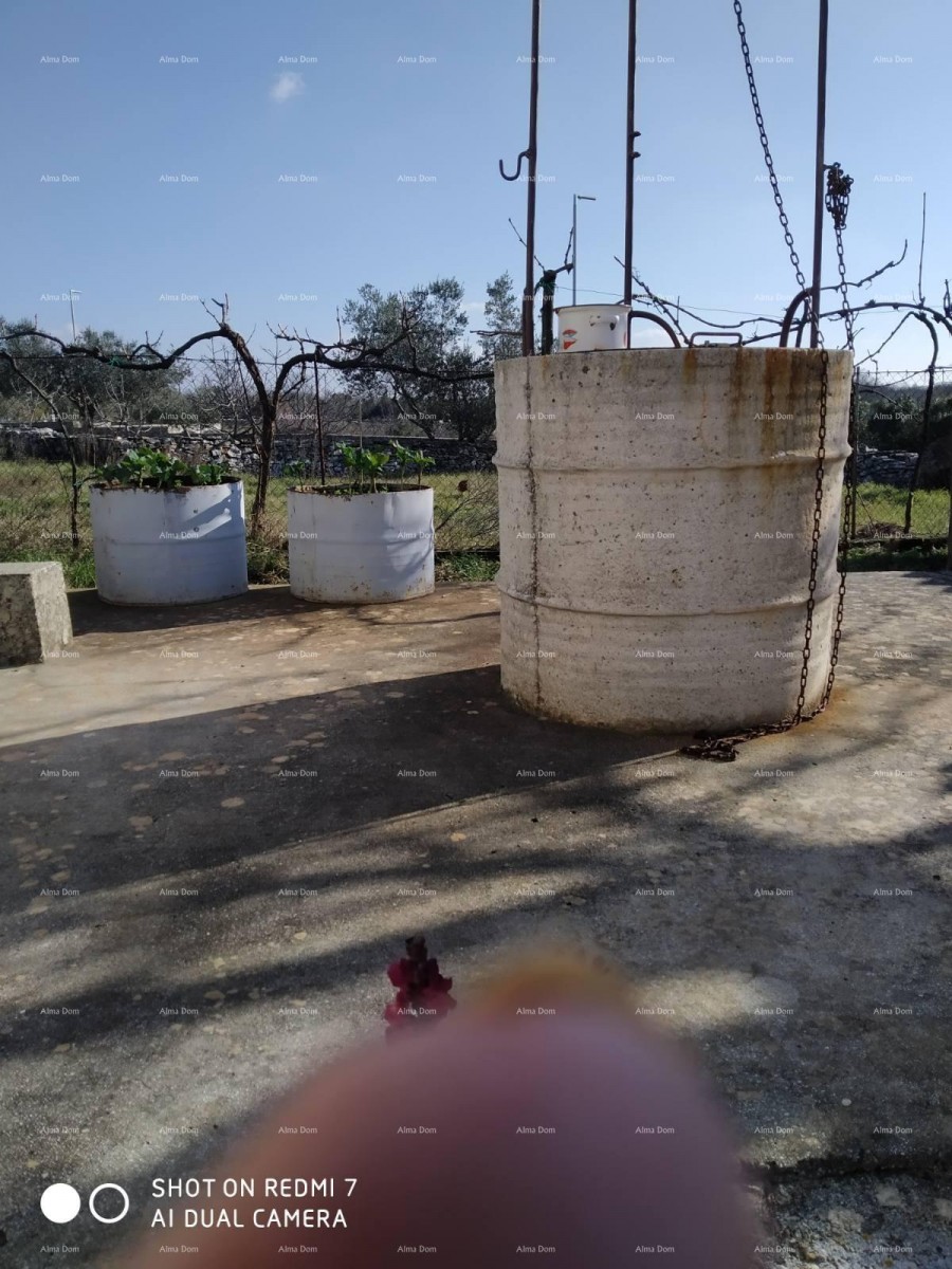 Дом Svetvinčenat 5