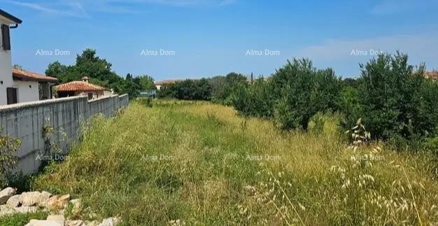 Dignano, vendiamo un terreno edificabile di 971 m2. 3