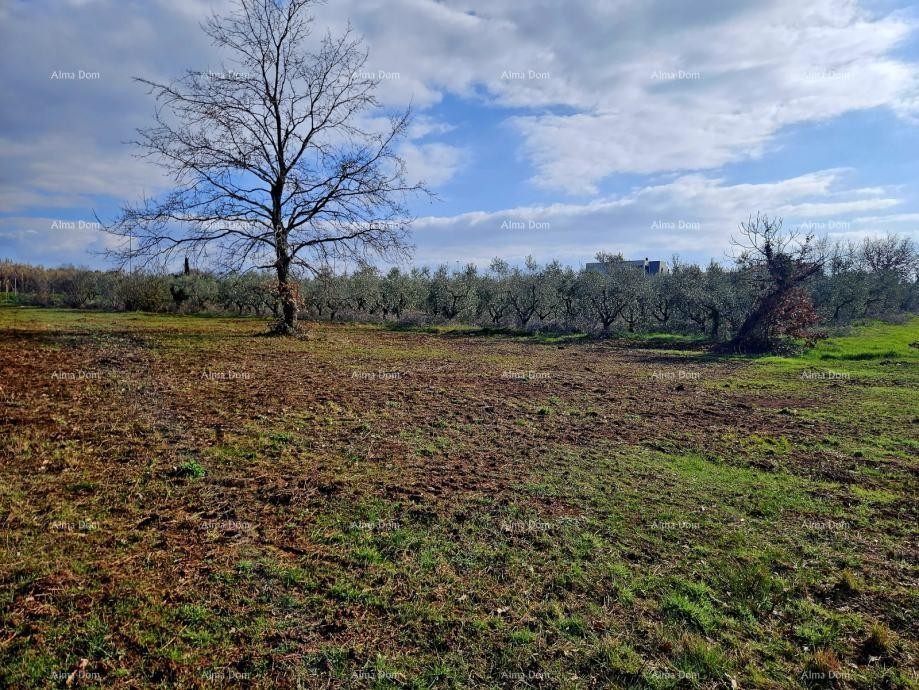 Забронировано!!! Продажа строительного участка с видом на море, Новиград! 3