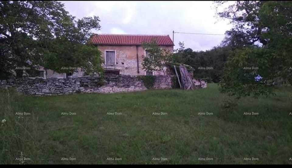 Casa in pietra d'Istria in vendita, Oprtalj 4