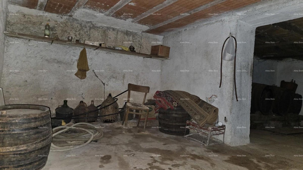 ŽMINJ (okolice) - odlična kamena kuća s dvorištem 14