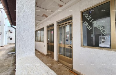 Апартамент на первом этаже здания