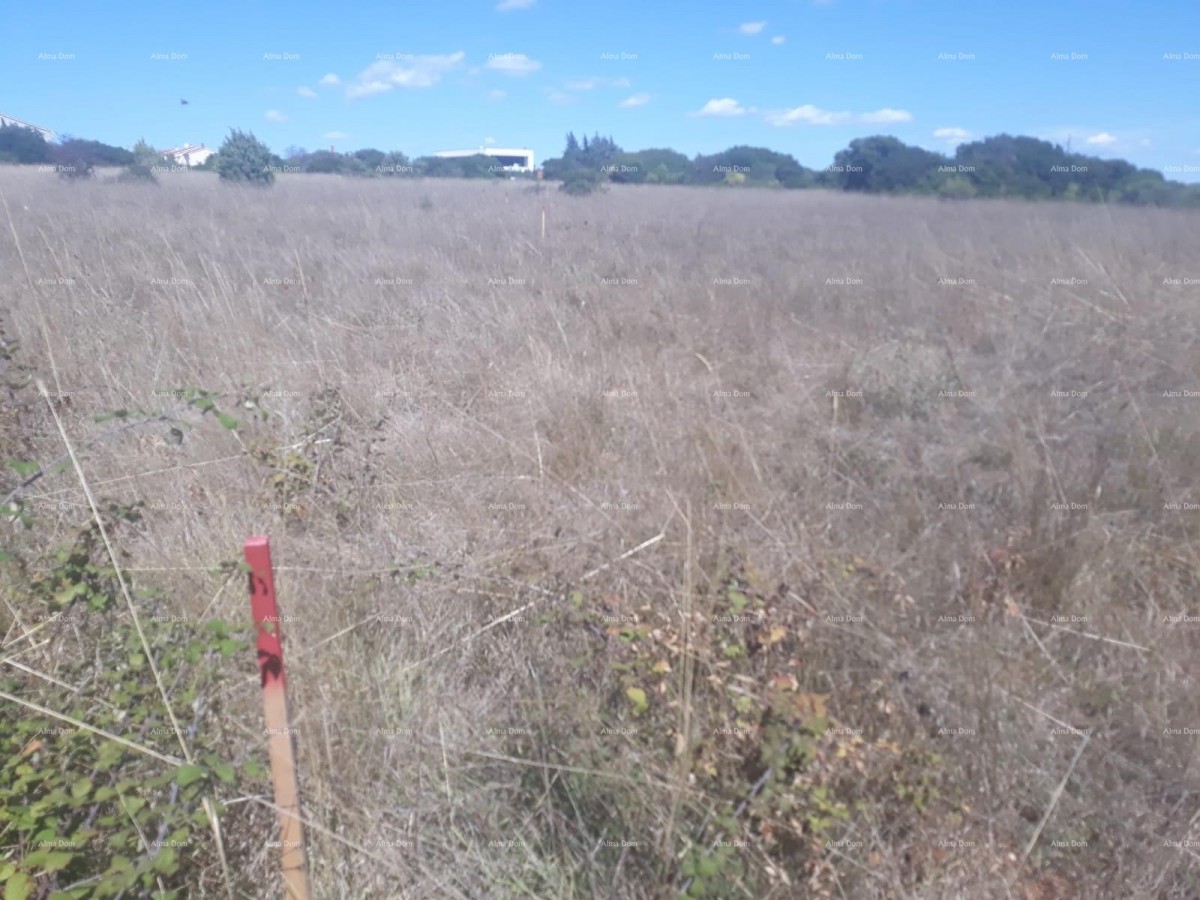 Terreno edificabile in vendita vicino a Banjole, superficie di 1501 m2                                  Informazioni:    +385 916115706 azra@almadominvest.com 1