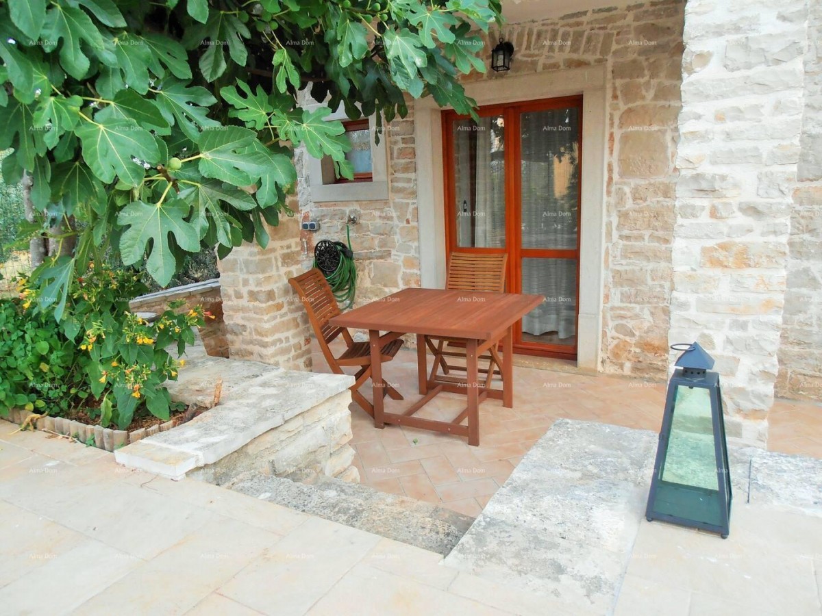 Marčana. Two stone houses with a swimming pool. 4