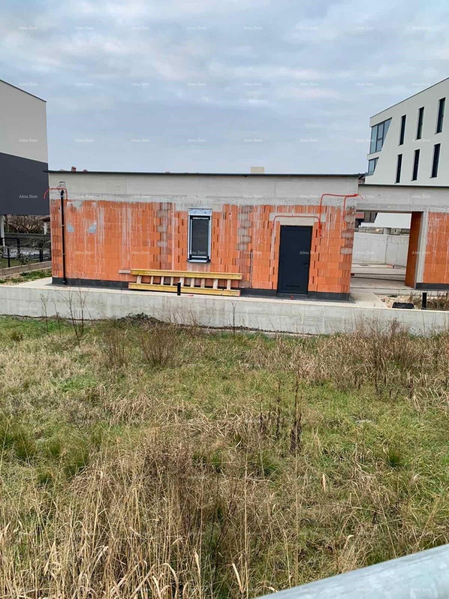 For Sale: Villa with Pool, apartment and summer kitchen, Pula 1