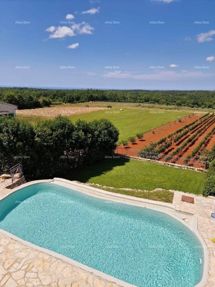 An exclusive villa with a swimming pool in Vižinada is for sale 5