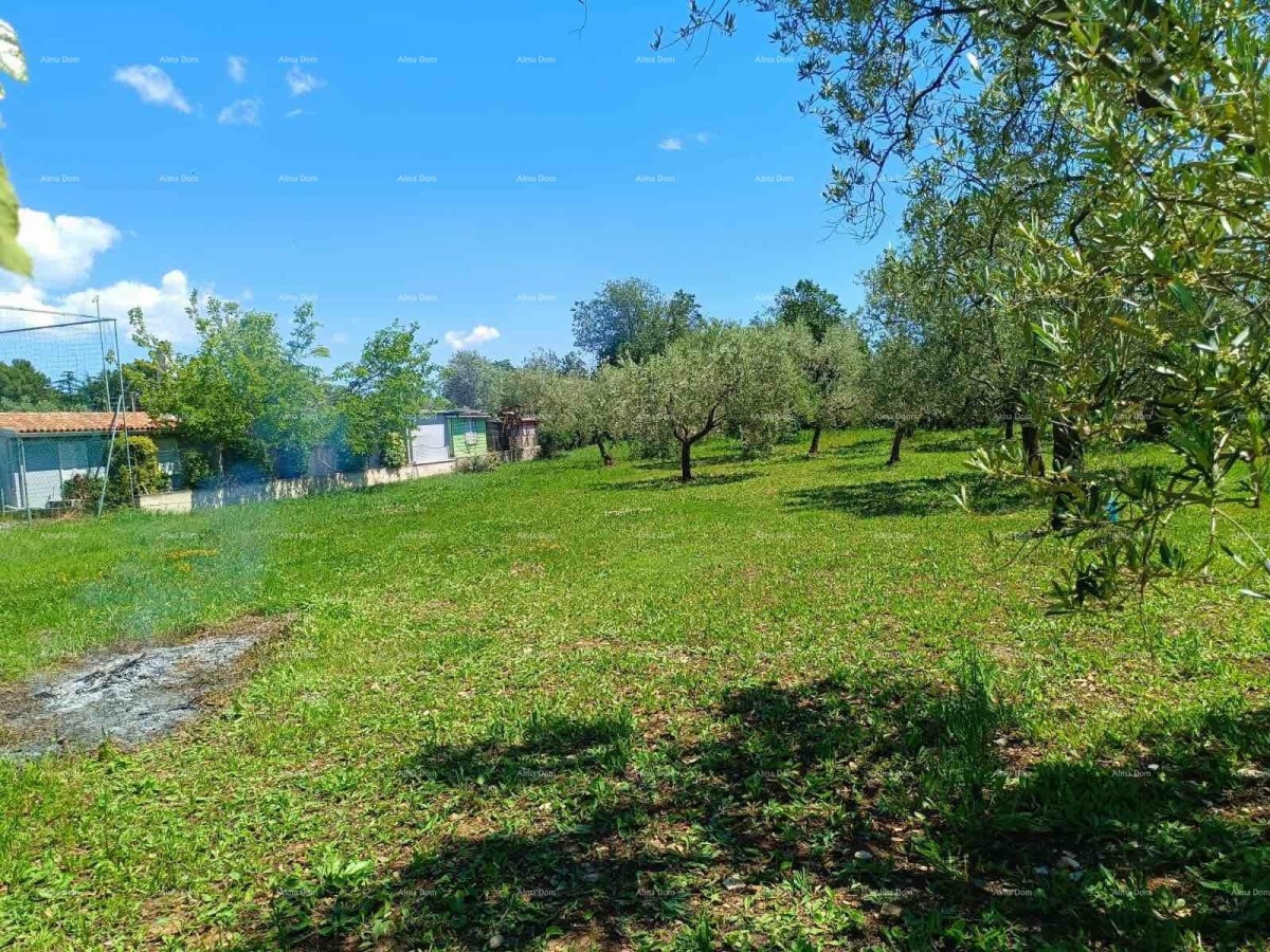 PEROJ – TERRENO AGRICOLO 2.715 m² VICINO AL MARE 5