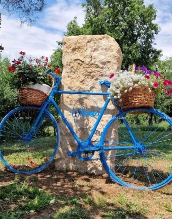 Отреставрированный истрийский каменный дом с бассейном 10