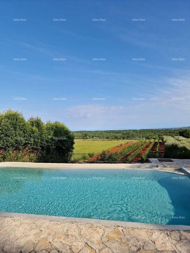 An exclusive villa with a swimming pool in Vižinada is for sale 6
