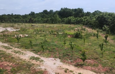 Prodaja zemljišča z gradbenim dovoljenjem za gradnjo vile z bazenom, Svetvinčenat!