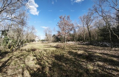 Buje – građevinsko zemljište 1.086 m² s pogledom na more