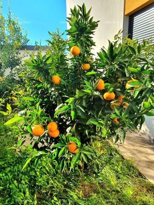 In vendita ampio appartamento con galleria e terrazza sul tetto – Foresta di Šijana 15
