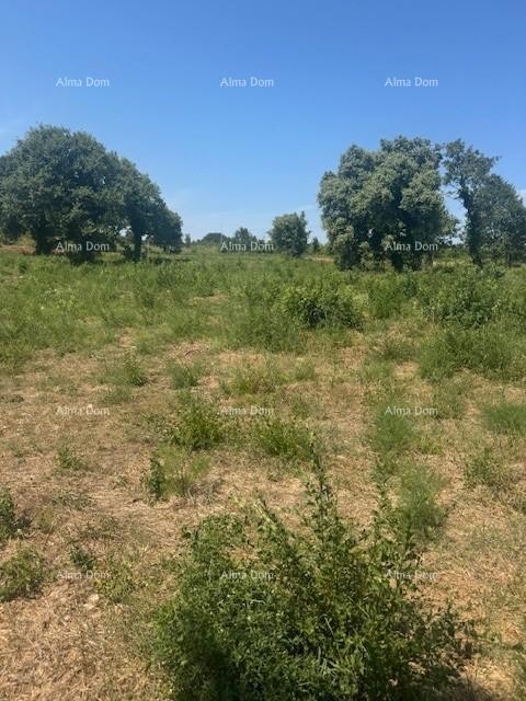 Zemljišče 4000 m² v Ližnjanu, T2 območje 1